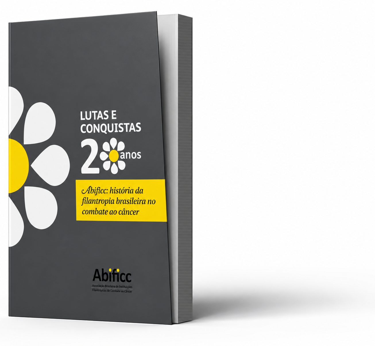 35 anos: lutas e conquistas